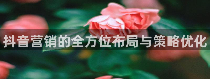 必赢手机app下载抢红包