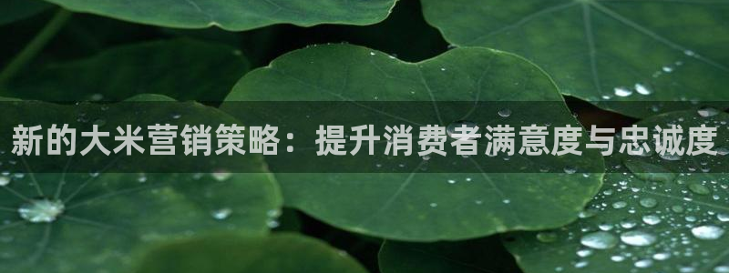 必赢手机app下载 最新版本