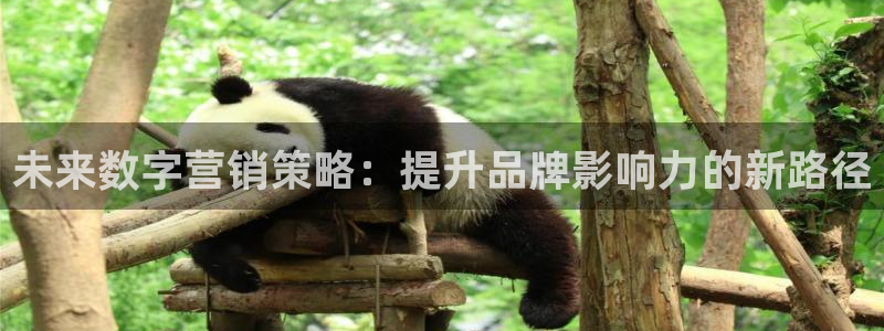 必赢网址 登录