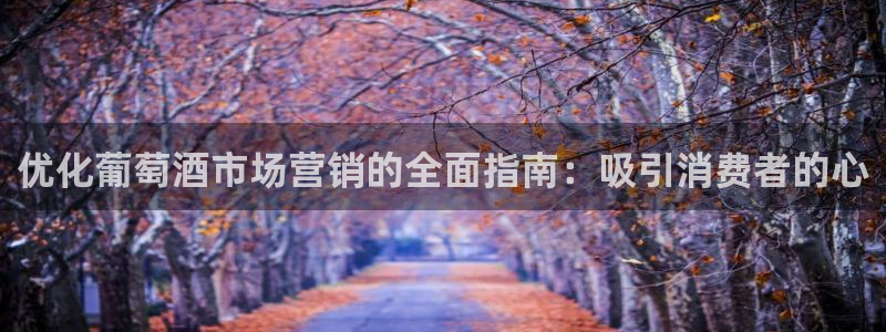 必赢.apk