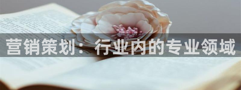 必赢旧网站
