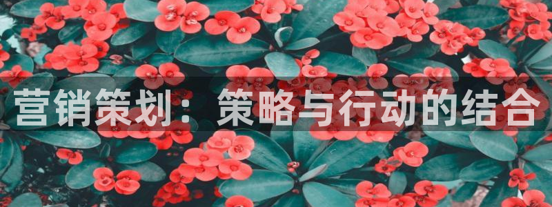 9965必赢游戏特色