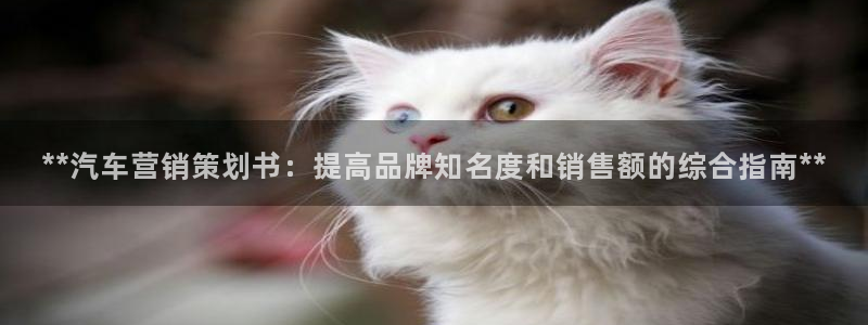 必赢官网