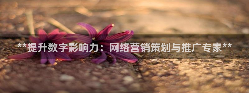 必赢官网app下载苹果
