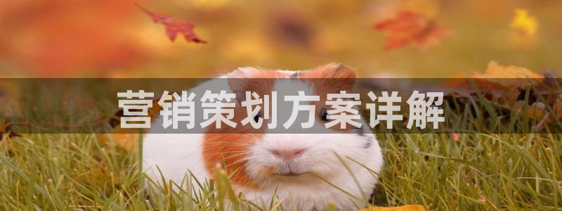 必赢官网网址8873