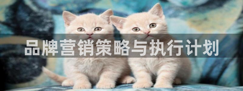 必赢官网app下载苹果