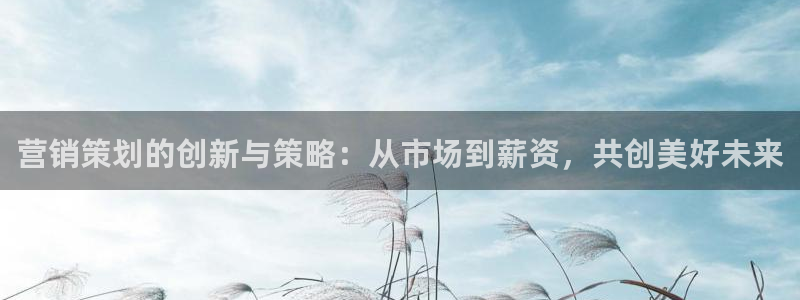 必赢app是干什么的