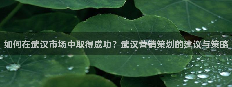 9965必赢游戏版本