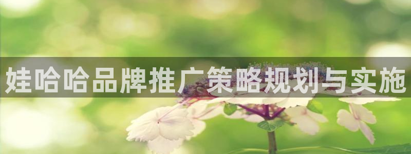 必赢公司