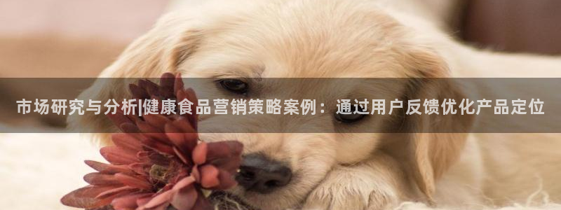 必赢网站是哪一个