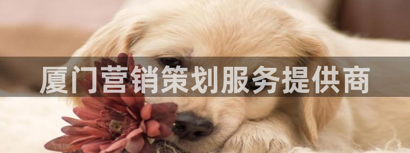 必赢手机app下载 最新版本