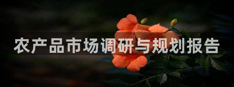 必赢手机版app下载官网