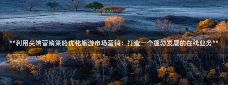 必赢网站是哪一个