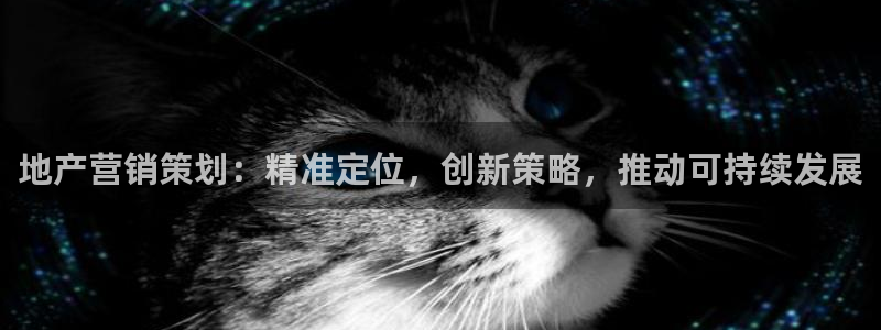 必赢下载苹果手机app