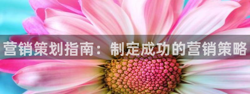 必赢集团网站是什么