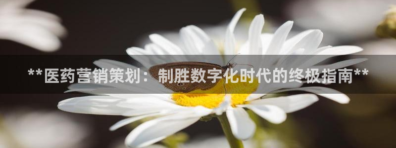 必赢官网网站入口网址