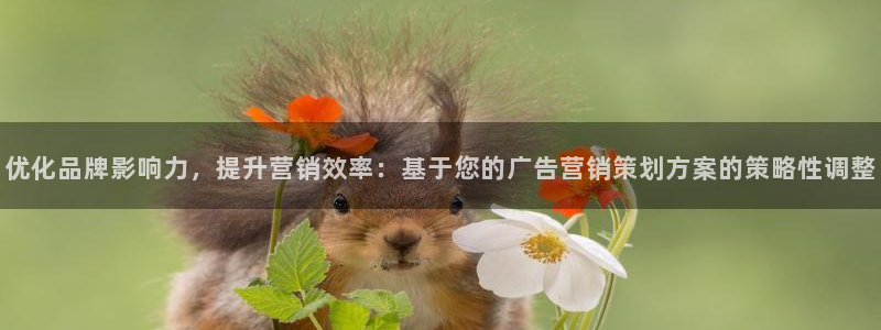 必赢线上网址是多少
