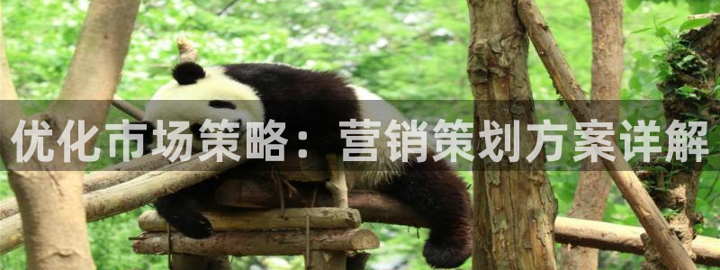 必赢亚赢网站官网下载手机版安卓