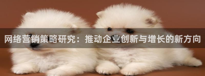 9965必赢游戏特色：网络营销