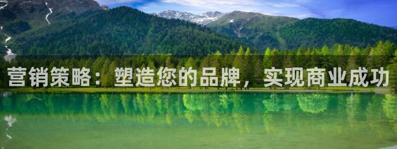 必赢网址谁知道：营销策略：塑造