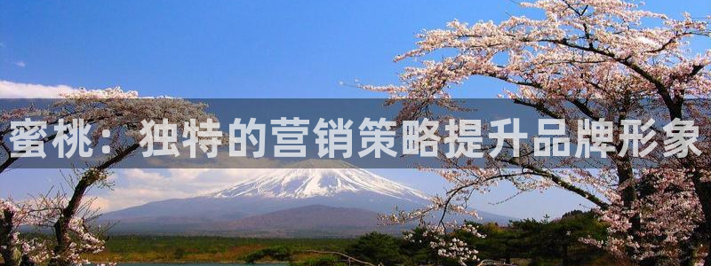 必赢网站