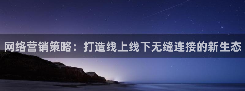必赢官网下载安装：网络营销策略