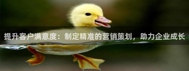 必赢国际437官网版：提升客户