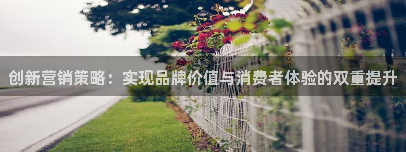 必赢亚赢网站官网下载安装最新版