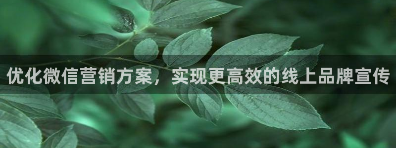 9965必赢游戏app：优化微