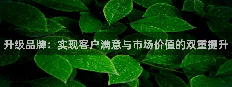 必赢官网app下载安装苹果