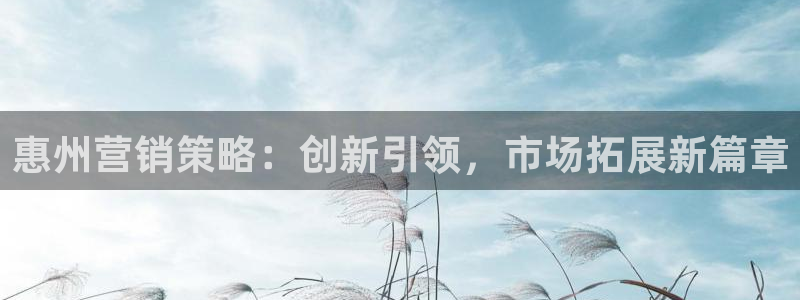 必赢网站进去：惠州营销策略：创