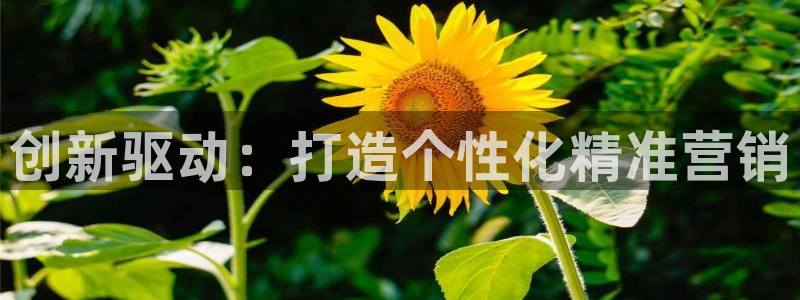 必赢亚赢网站官网下载安装最新版