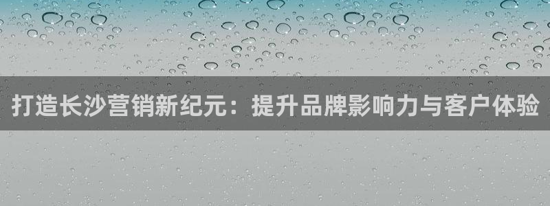 必赢公司是怎样的一家企业