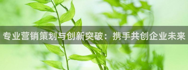 必赢官网入口下载安装手机版