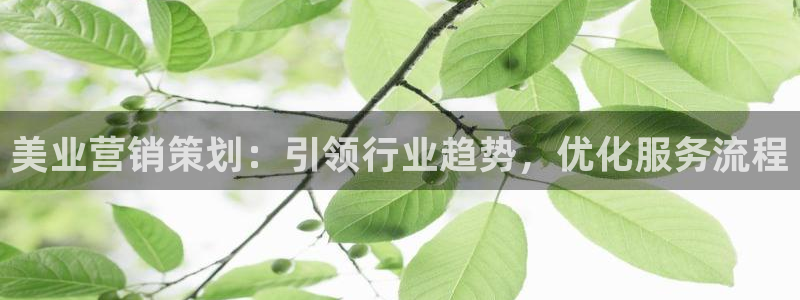 必赢官网下载安装