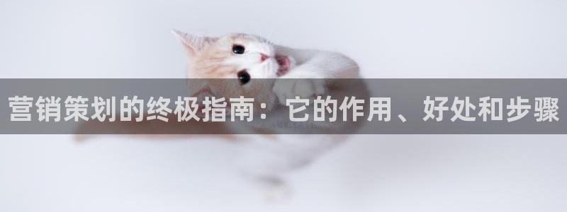 必赢app是干什么的