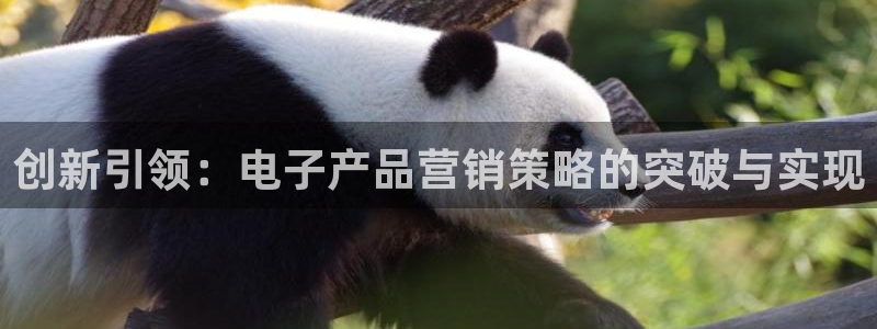 必赢国际a600典ccapp