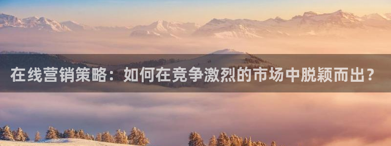 必赢3003网官