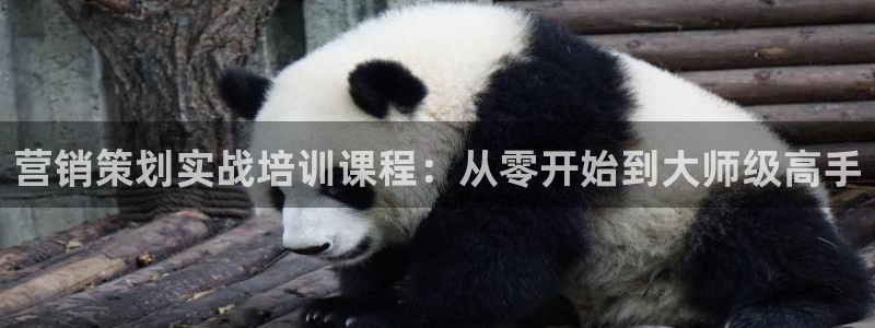 必赢下载苹果手机app