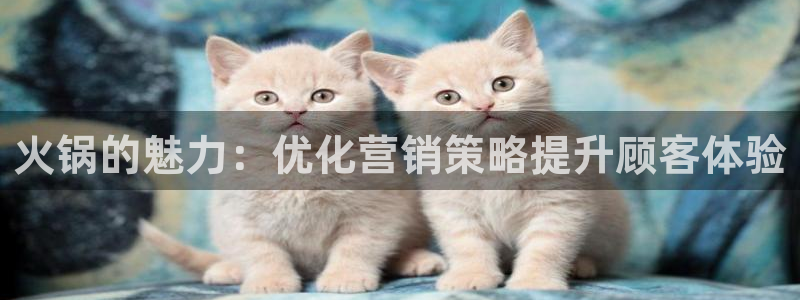 必赢线上网址是什么