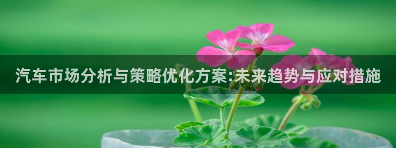 必赢国际437pay,comapp