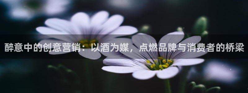 必赢集团怎么样
