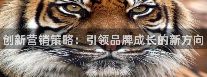 必赢国际官网登录：创新营销策略