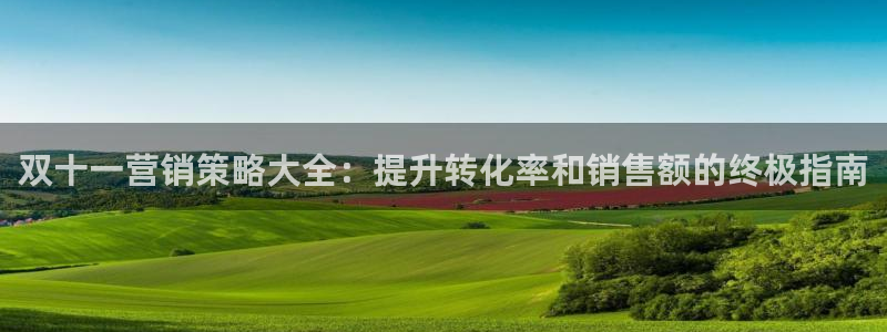 必赢7321取不出钱：双十一营