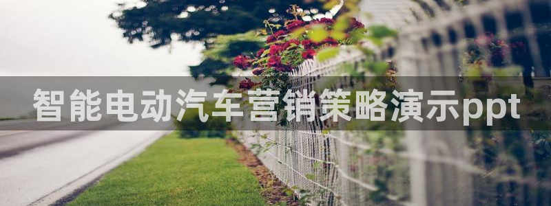 必赢网站进去