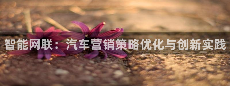 必赢平台官方网站：智能网联：汽