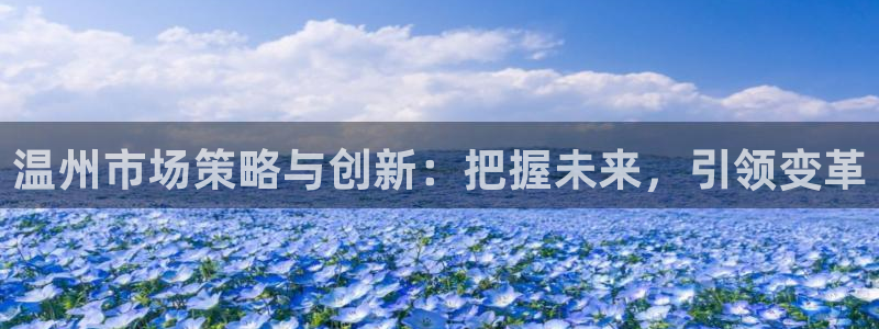 必赢网怎么打不开了呀：温州市场