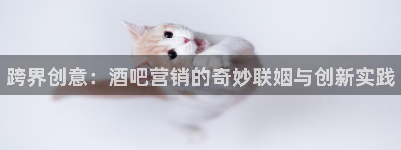 必赢最新