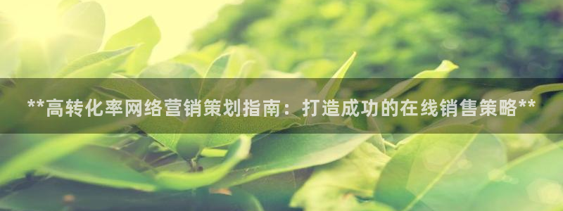 必赢游戏官网：**高转化率网络