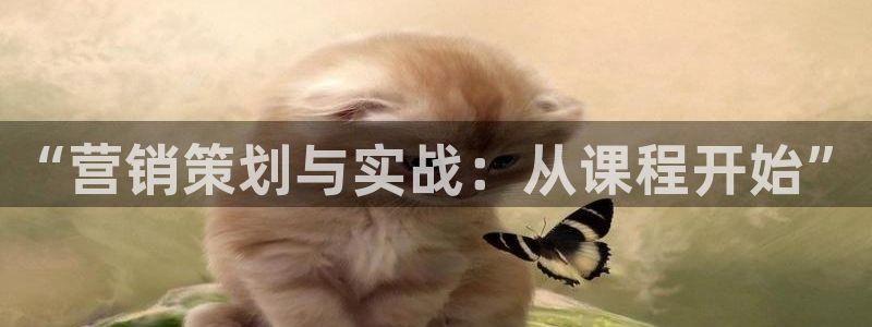 必赢官网网址多少号登录：“营销